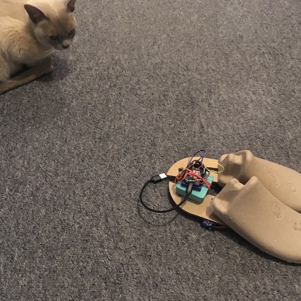 Some motorised cardboard feet with a cat looing on suspiciously