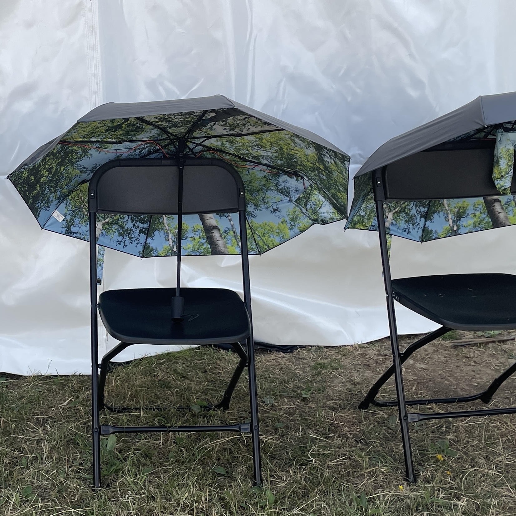 Umbrellas with surround-sound birdsong